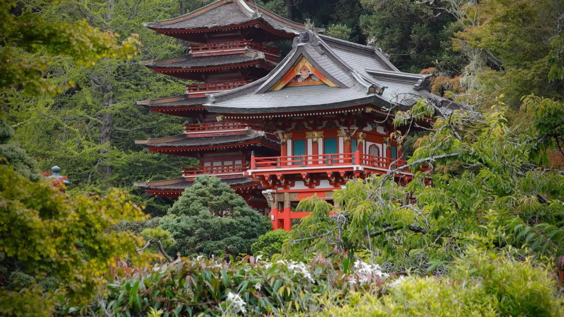 Jardim de chá japonês