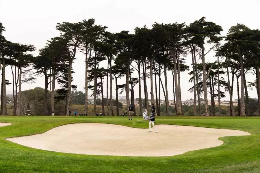 Jogadores de golfe em uma caixa de areia no campo de golfe TPC Harding Park, em 加州贝博体彩app.